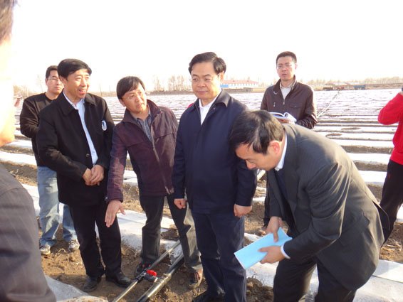 6t����(6TSPORTS)�����Źɷݹ�˾