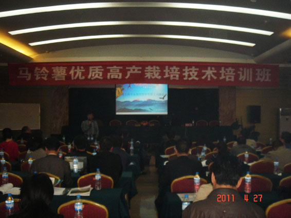 6t����(6TSPORTS)�����Źɷݹ�˾