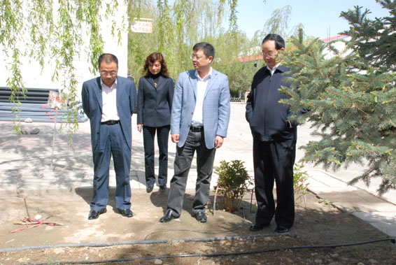 6t����(6TSPORTS)�����Źɷݹ�˾