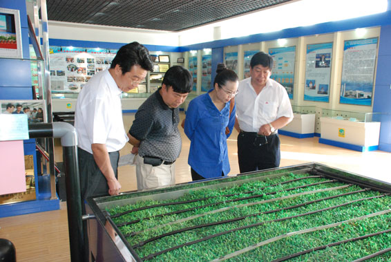 6t体育(6TSPORTS)·集团股份公司