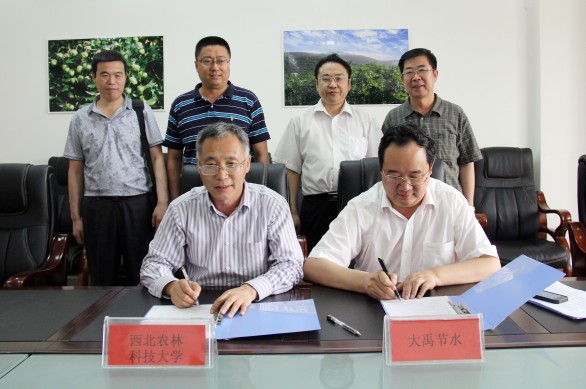 6t体育(6TSPORTS)·集团股份公司