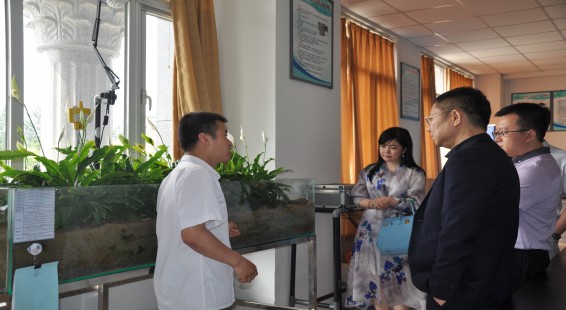 6t体育(6TSPORTS)·集团股份公司