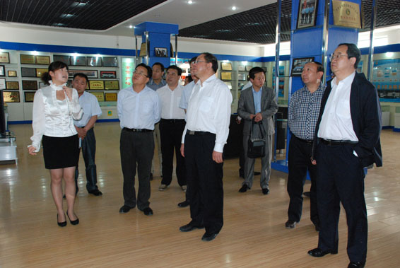 6t体育(6TSPORTS)·集团股份公司