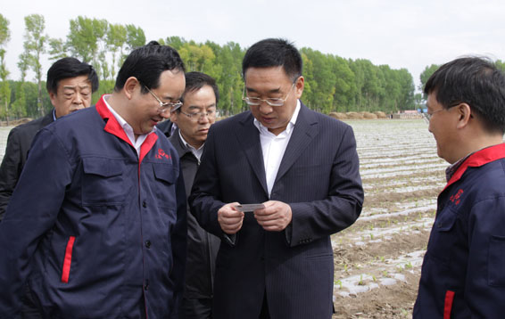 6t体育(6TSPORTS)·集团股份公司