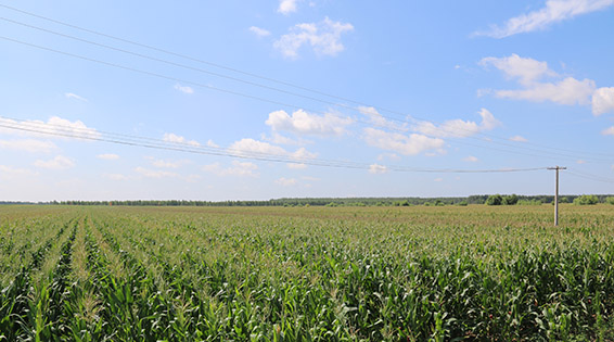 6t����(6TSPORTS)�����Źɷݹ�˾