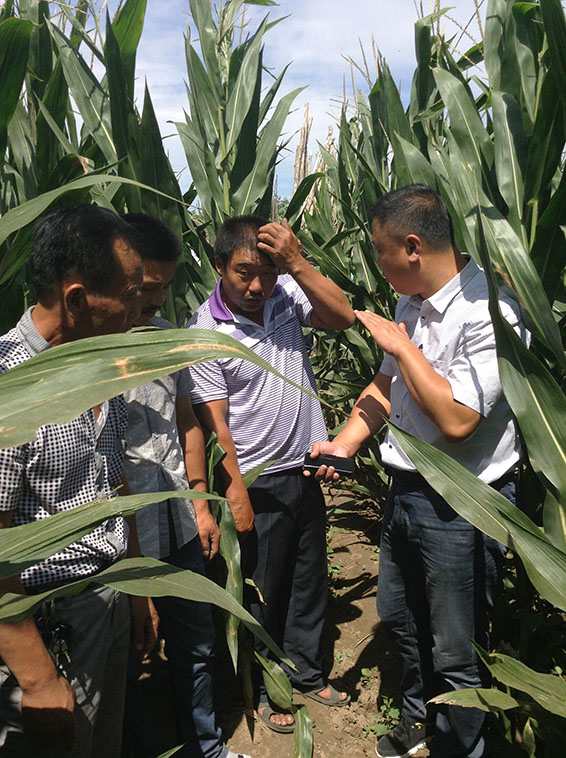 6t����(6TSPORTS)�����Źɷݹ�˾