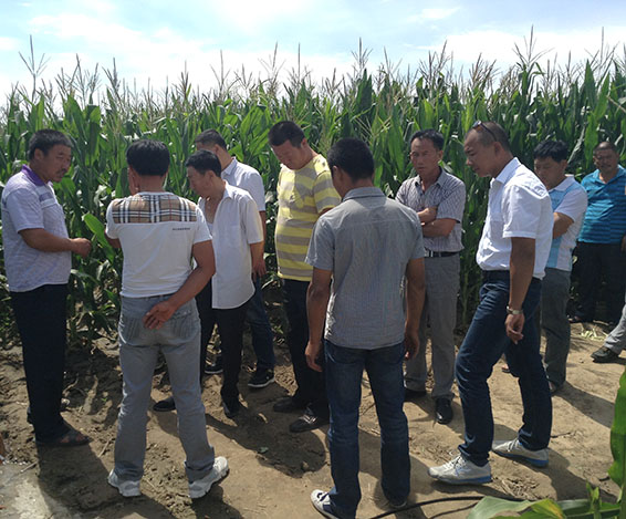 6t����(6TSPORTS)�����Źɷݹ�˾