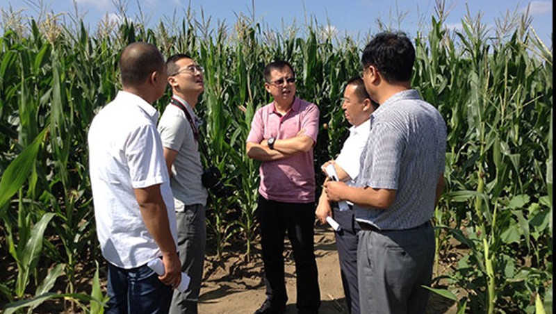 6t������ˮ���ż������׵���ʽ�ι�����Ч������