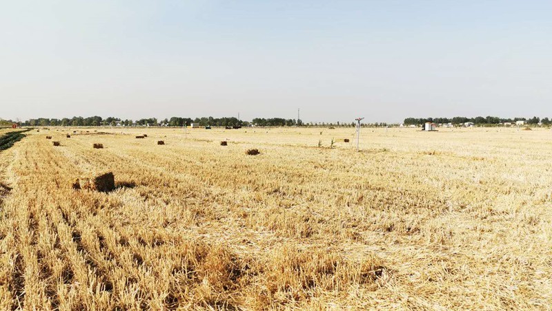 ����ʡ�������۳���2021��߱�׼ũ�ｨ��EPC+O��Ŀ