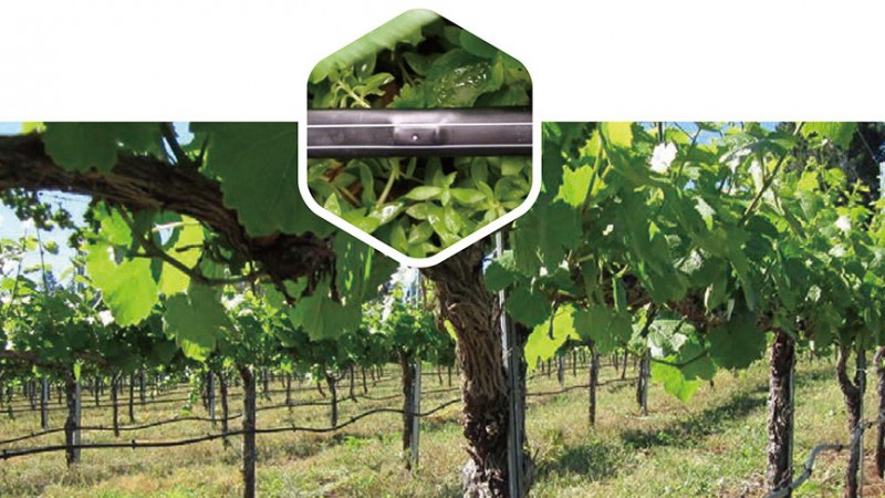  ѹ���⳥�ι��