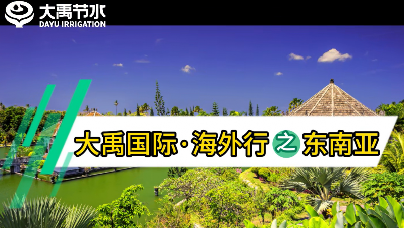 6t��������������֮������