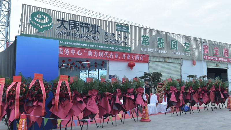 6t�������Ϸ�������������ʢ��ҵ���ֳ�ʢ��ֱ����