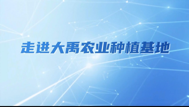 6t����ũҵ| ��Ԫ��ݪֲ���ؾ�����̽��ũҵ�ִ�����·��