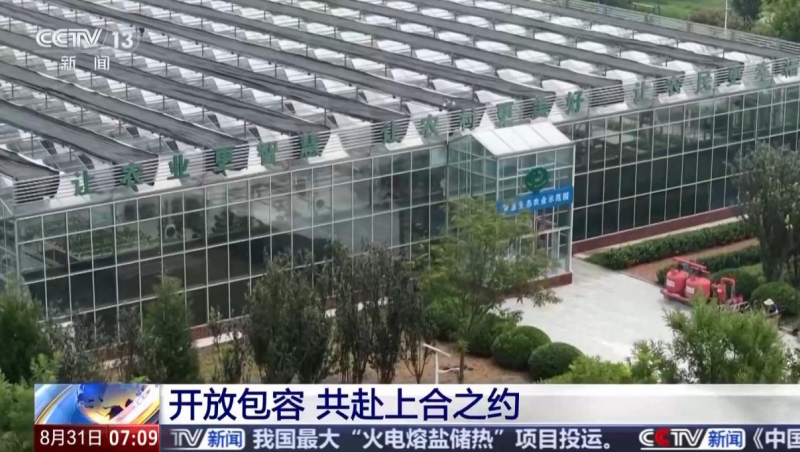 �����Ӿ۽���6t������ˮ���ǻ۽��ࡱ���ջݼ����Ϻϸ���ͥ��